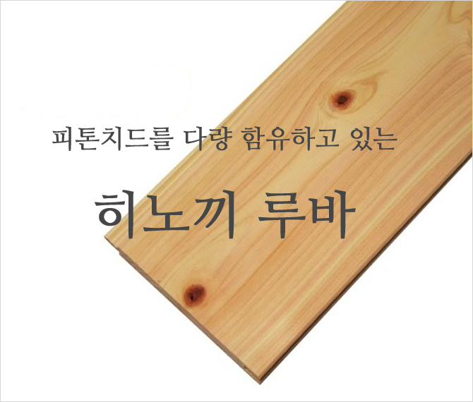 WOOD&STONE_메인이미지3